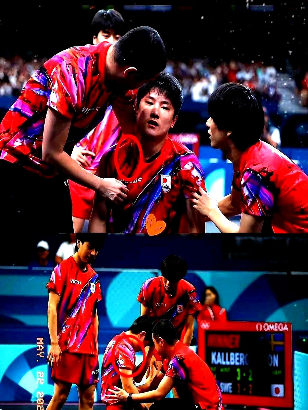 lol竞猜-波兰乒乓球队鏖战比利时乒乓球队，张本智和惊艳世界的简单介绍