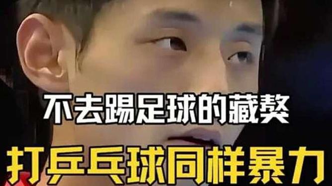 波兰乒乓球队轻取日本乒乓球队,张继科制霸全场的简单介绍 波兰乒乓球队轻取日本乒乓球队,张继科制霸全场的简单介绍