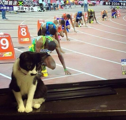 球场上的精彩对决让人目不转睛的简单介绍 球场上的精彩对决让人目不转睛的简单介绍